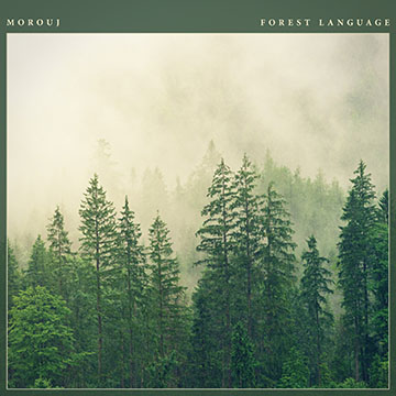 Morouj - Forest Language